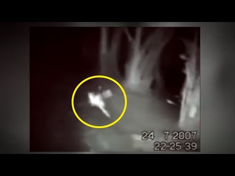 5 Mythical Creatures Caught On Camera & Spotted In Real Life! #2