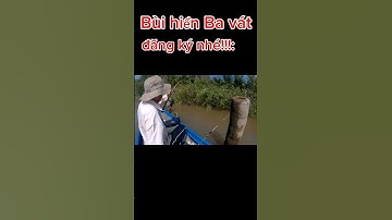 câu cá ngát cá vằn cuối mùa Nước mặn trúng ổ #caucavanven #caucasong #buihienbavat