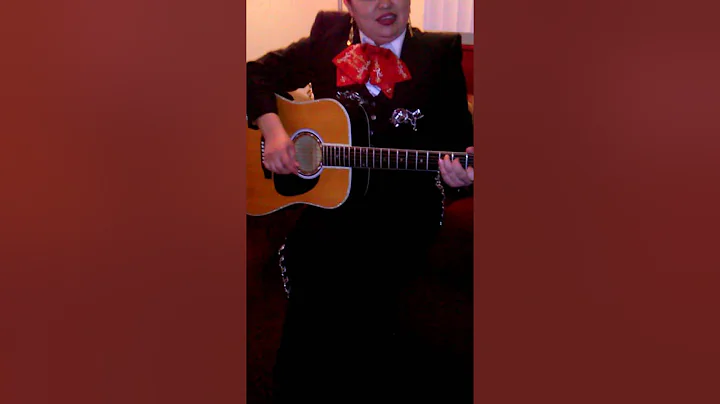 Se Me Olvido Otra Vez - Aide Gonzalez