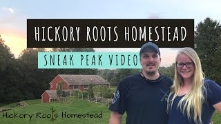OFFICIAL Sneak Peak - Hickory Roots Homestead