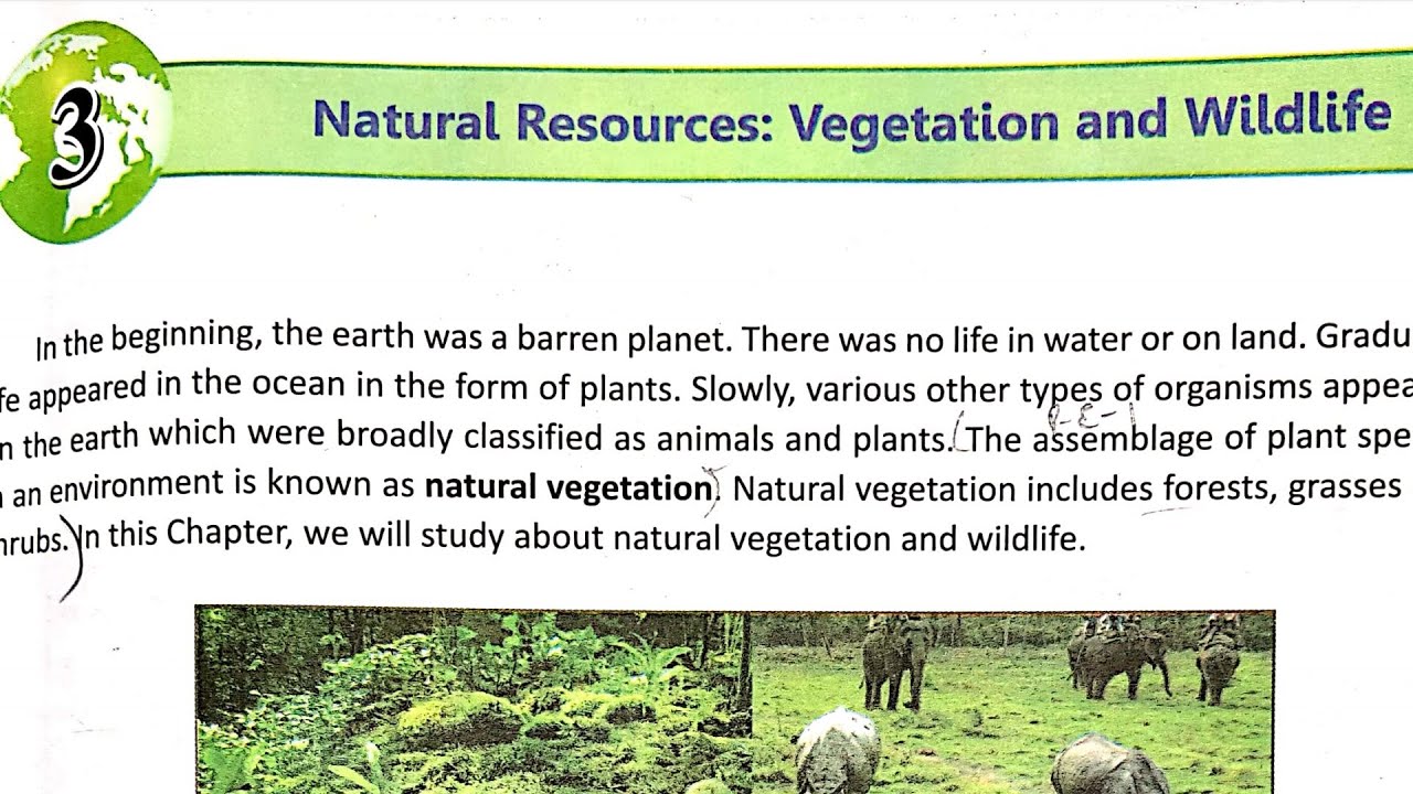 essay on natural vegetation and wildlife