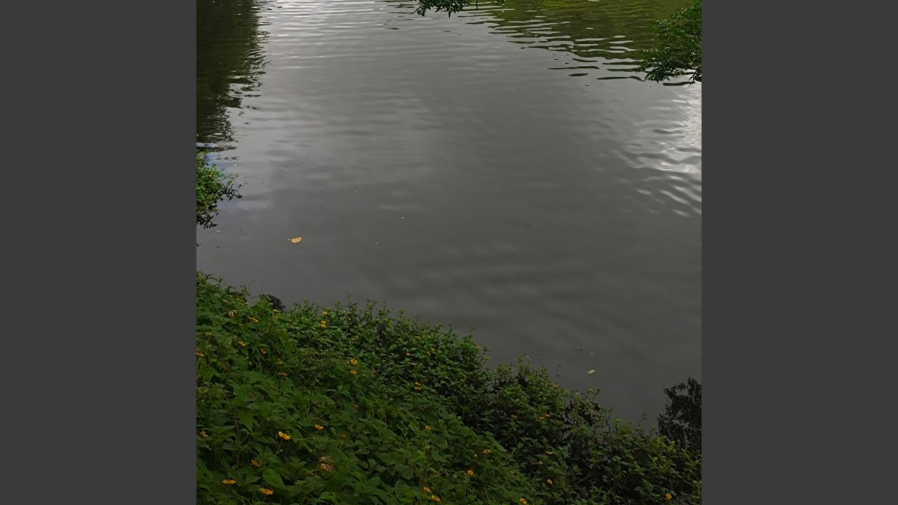 Watch 心好亂 伴奏 on YouTube Watch 心好亂 伴奏 on YouTube