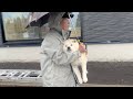 家族みんなが愛犬のことを大好きだとこうなる