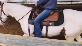 Risa Brown And Starlights Choice Jan Abovhs