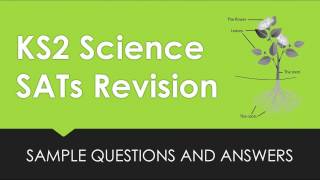 KS2 Science Revision: Sample SATs Questions