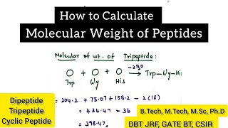 How To Calculate The Molecular Weight Of Peptides Dipeptide Tripeptide Cyclic Peptide