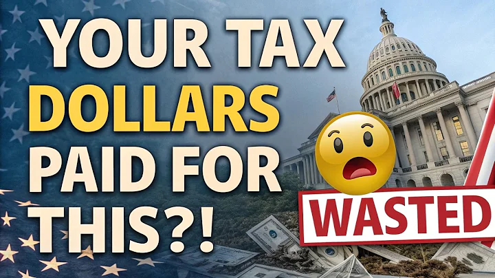 101 CRAZIEST THINGS The US Government Spends MONEY On!