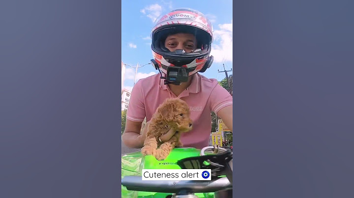 Cuteness alert 🧿🥹 #SandeepNadimpalli #YoutubeShorts