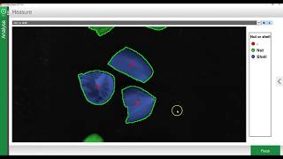 Breeze video tutorial - Classification of nuts step 1 basic