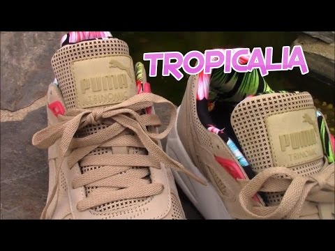 puma tropicalia