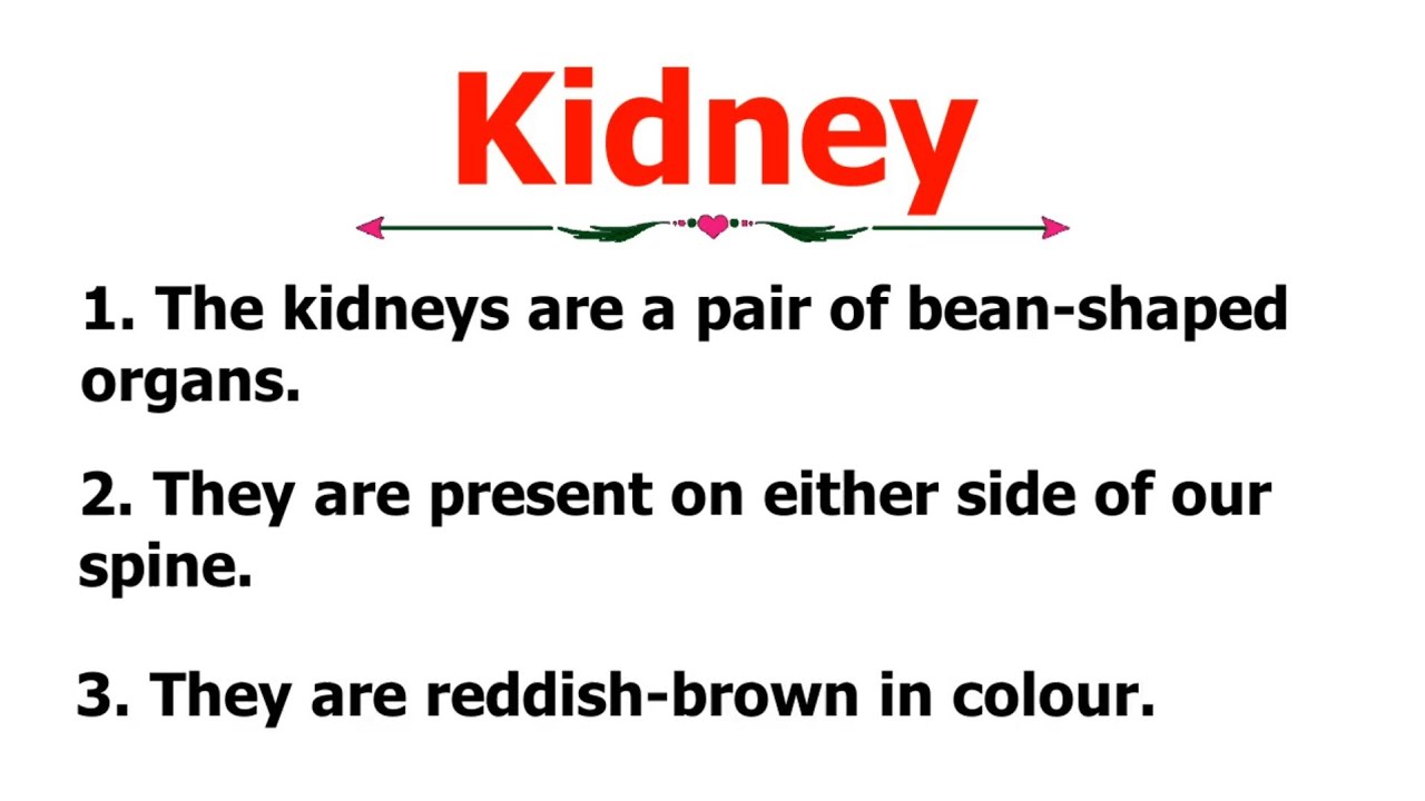 essay on kidney pain