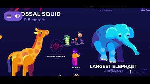 From Planck Length to Observable Universe: Journey - In a Nutshell