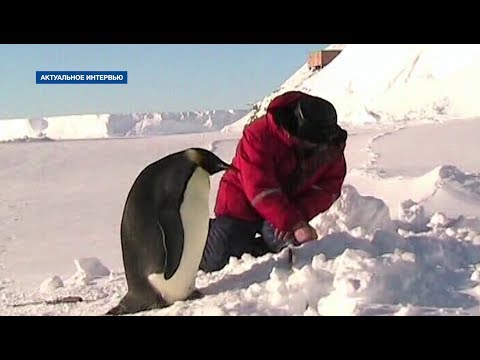 Видео: 3 способа приготовления хлеба на закваске