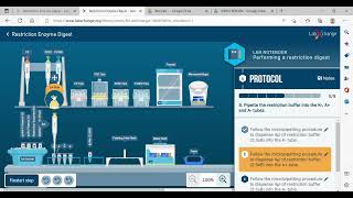 Performing a Restriction Enzyme Digest - @LabXchange #geneticengineering