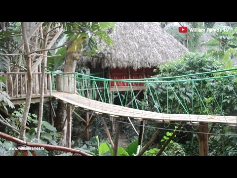 Dominican Tree House Village - A Must Visit In DR | WilliamRamosTV