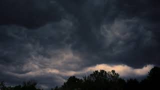 Massive Storm Beyond the Trees | Endless Dark Clouds & Distant Thunder | Calm Before Storm (3 Hrs)