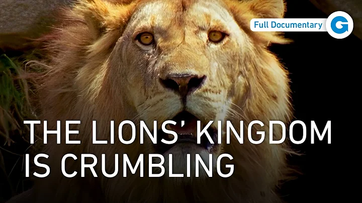 Serengeti Kings: The Lions Who Lost Their Throne | Full Documentary