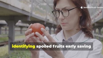 IMPACT VIDEO ON FRUIT FRESHNESS CLASSIFICATION BY USING CONVOLUTIONAL NEURAL NETWORK