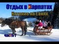 Катание на санях. Отдых в Карпатах #7. #Карпаты