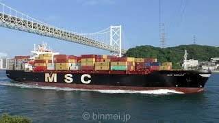 Msc Carla 3 - Msc Shimanagement Container Ship
