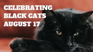 Celebrating Black Cat Appreciation Day - August 17 - #365festivals - The Genius Tree