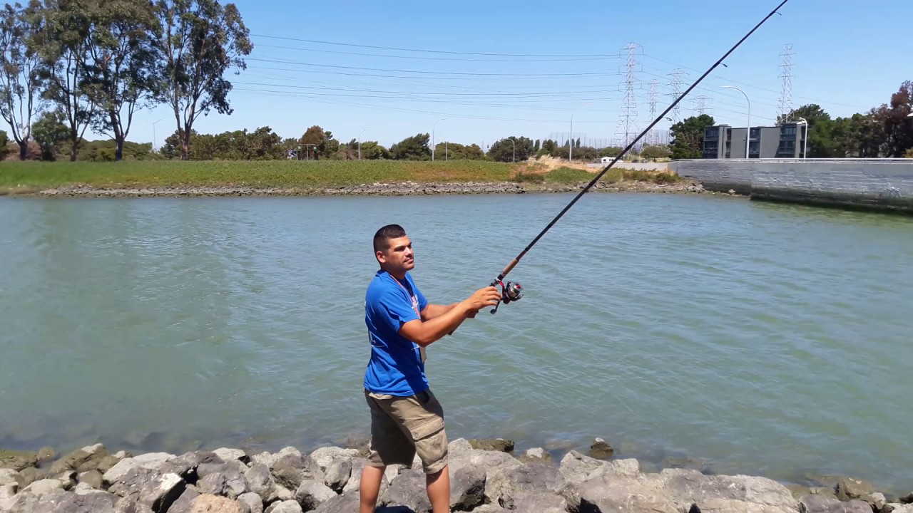 Fishing with meal worms