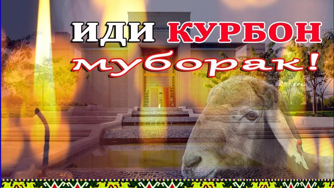 Иди курбон 2024