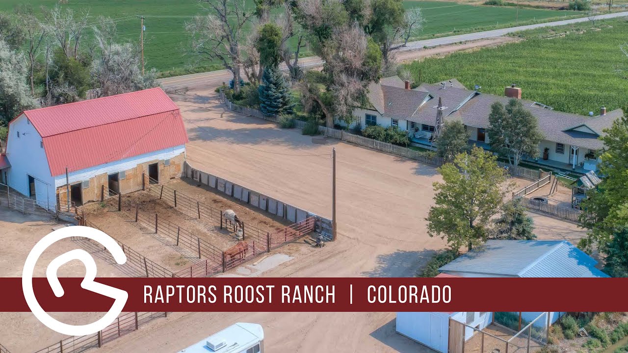 Colorado Horse Property for Sale Raptors Roost Ranch Mason & Morse