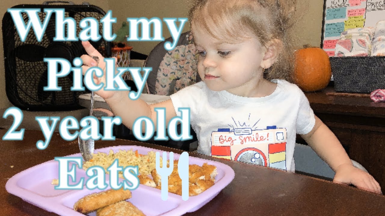 WHAT MY TODDLER EATS IN A DAY| PICKY EATER - YouTube