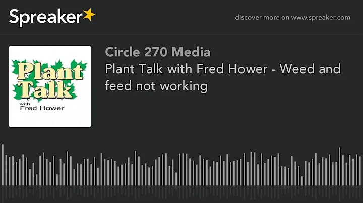 Plant Talk with Fred Hower - Weed and feed not wor...