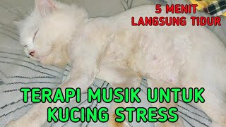 Relaxation Music For Cat 2022Music Therapy of the Stress Removal CatSleeping Music