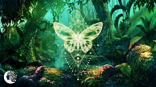 THE BUTTERFLY EFFECT ⁂ Raise your Vibration ⁂ Positive Aura Cleansing ⁂ 432Hz Music