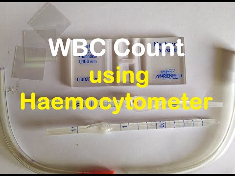Total WBC count Practical Lab