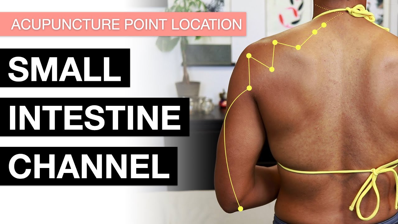 Acupuncture Point Location: The Small Intestine Channel (SI Meridian Acupuncture Points) YouTube