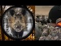 Driven wild boar hunting in Hungary | Fantastic slow mo kill shots - Ultimate Hunting