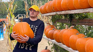 Come riutilizzare la zucca di Halloween?