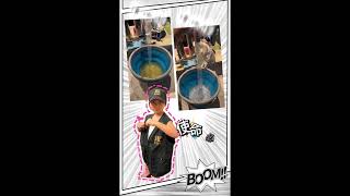 潔克翰匠 The Craftsman Jack - 新北市板橋區、一廚四衛
【高週波冷熱水管清潔消毒保養】 潔克翰匠 The Craftsman Jack - 新北市板橋區、一廚四衛
【高週波冷熱水管清潔消毒保養】