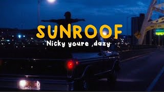 Nicky Youre Dazy - Sunrooflyrics