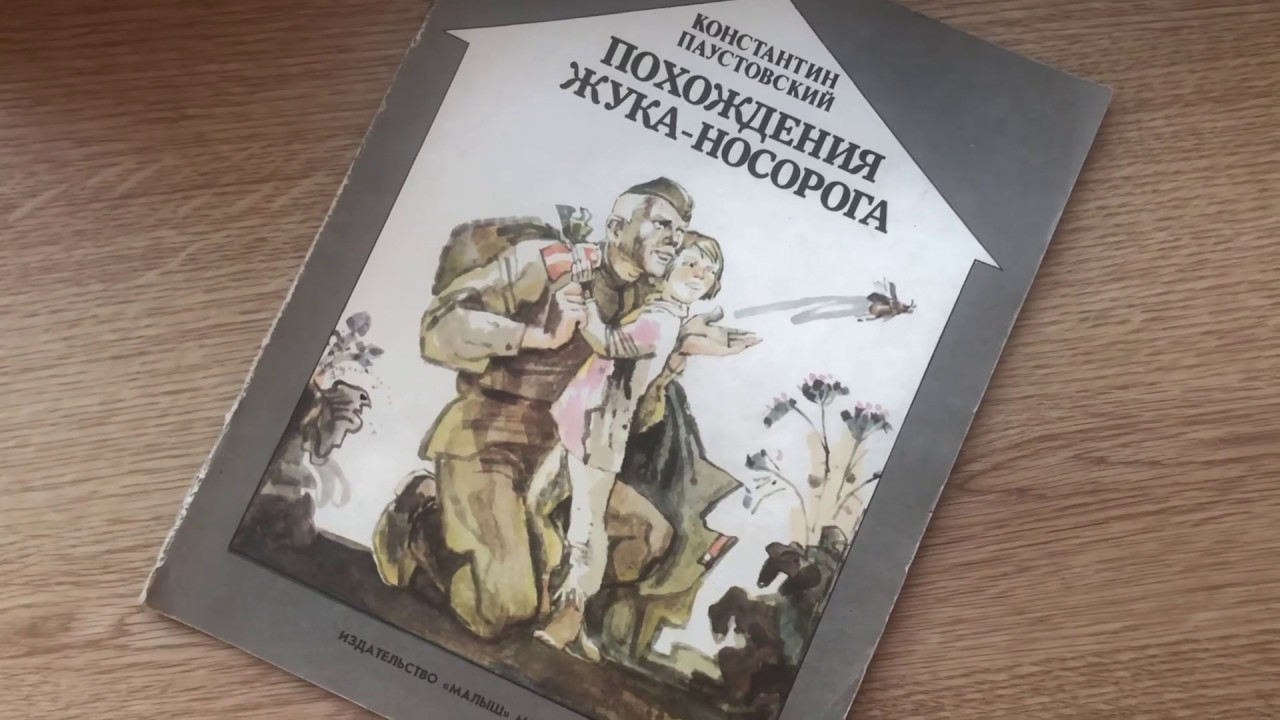 Сказка о жуке носороге паустовский. К Г Паустовский похождения жука-носорога. Книга Паустовский похождения жука носорога. Похождения жука-носорога Паустовский иллюстрации.