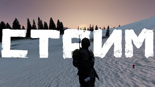 видео: Стрим и его приключения картинка: Стрим и его приключения