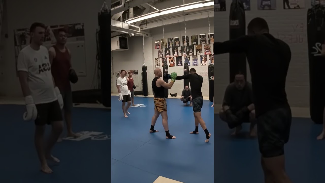 Never get caught by a punch again #muaythai #fighting
