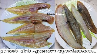 മാന്തൾ മീൻ എളുപ്പത്തിൽ എങ്ങനെ വൃത്തിയാക്കാം How to clean Sole Fish