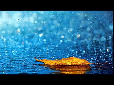 بدر شاكر السياب انشودة المطر    