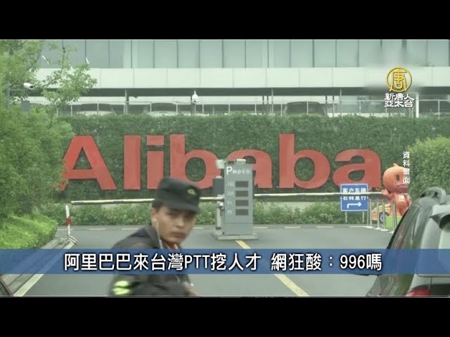 阿里巴巴來台灣ptt挖人才網狂酸 996嗎 台灣速速看 Youtube