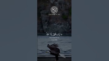 #quran #سورة_النحل #خالد_الجليل #قران_كريم #قران #قرآن_كريم