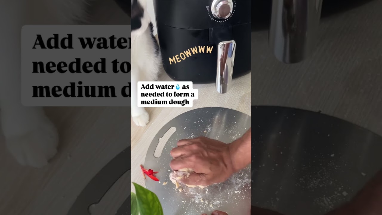 Homemade Chicken Cat Food Recipe 🐱 | Easy 3-Ingredient Fresh Cat Treats!