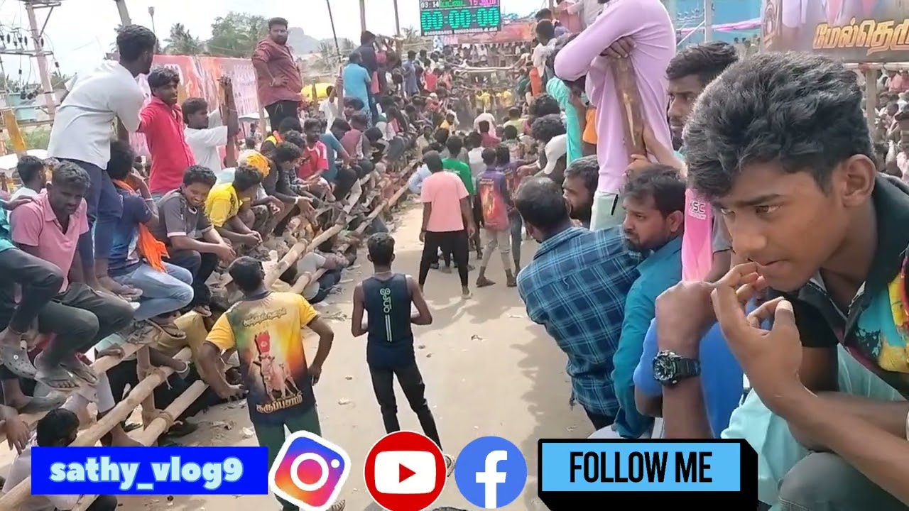 கிருஷ்ணகிரி மாவட்டம் மாபெரும் எருது விடும் திருவிழா பழைய பேட்டை