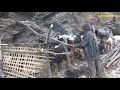 repairing the goat farm shelter under giant rock || lajimbudha ||