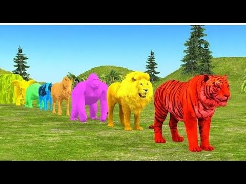 colorful animal friends on a fun and exciting adventure! 🌈🦁🐯🐘