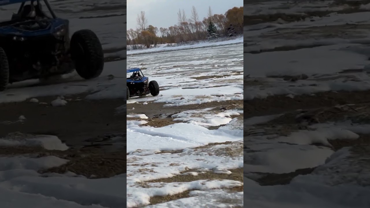 LOSI RZR POLARIS ICE RIP 